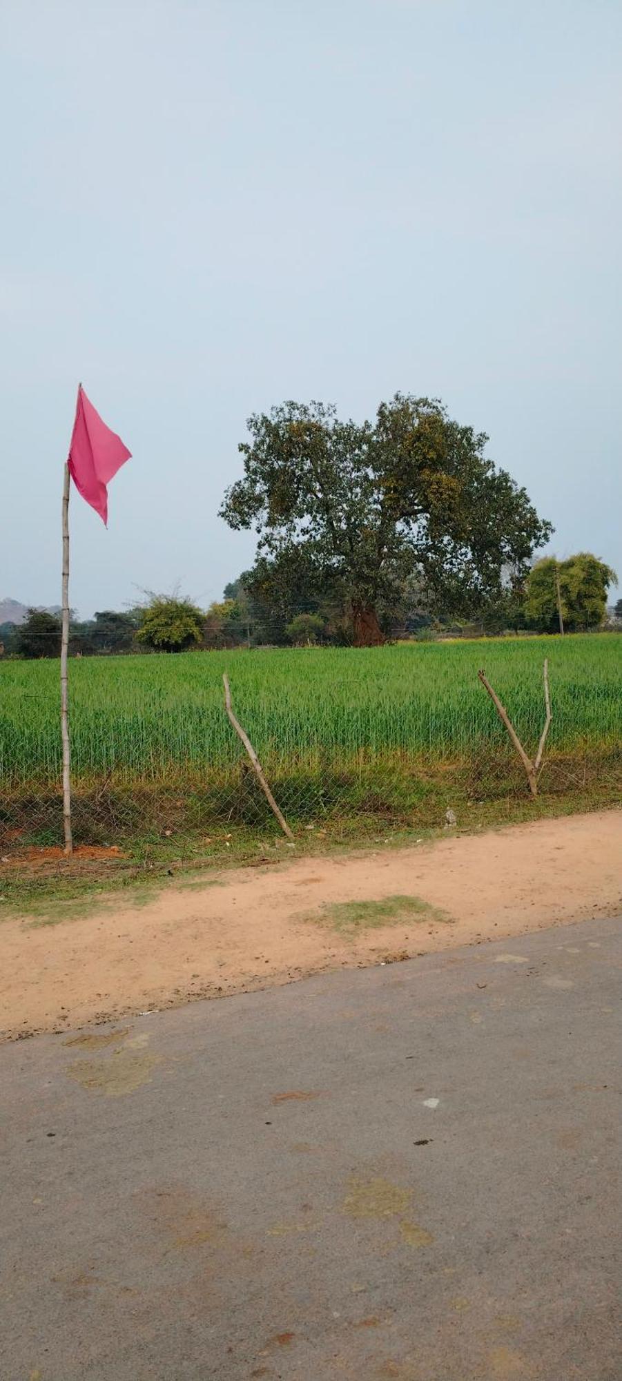 Laxmi Home Stay Ghura Exteriör bild
